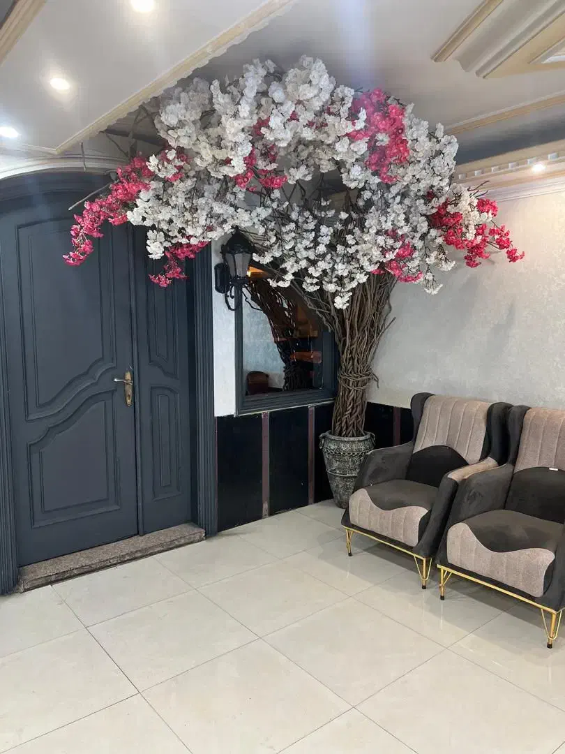 تور ریلی مشهد مقدس اذر ماه|تور و چارتر|ایلام, |دیوار