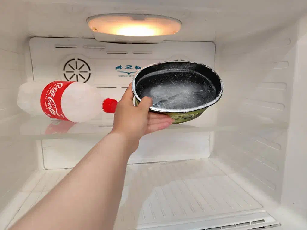 یخچال و فریزر دوو|یخچال و فریزر|تهران, امیریه|دیوار