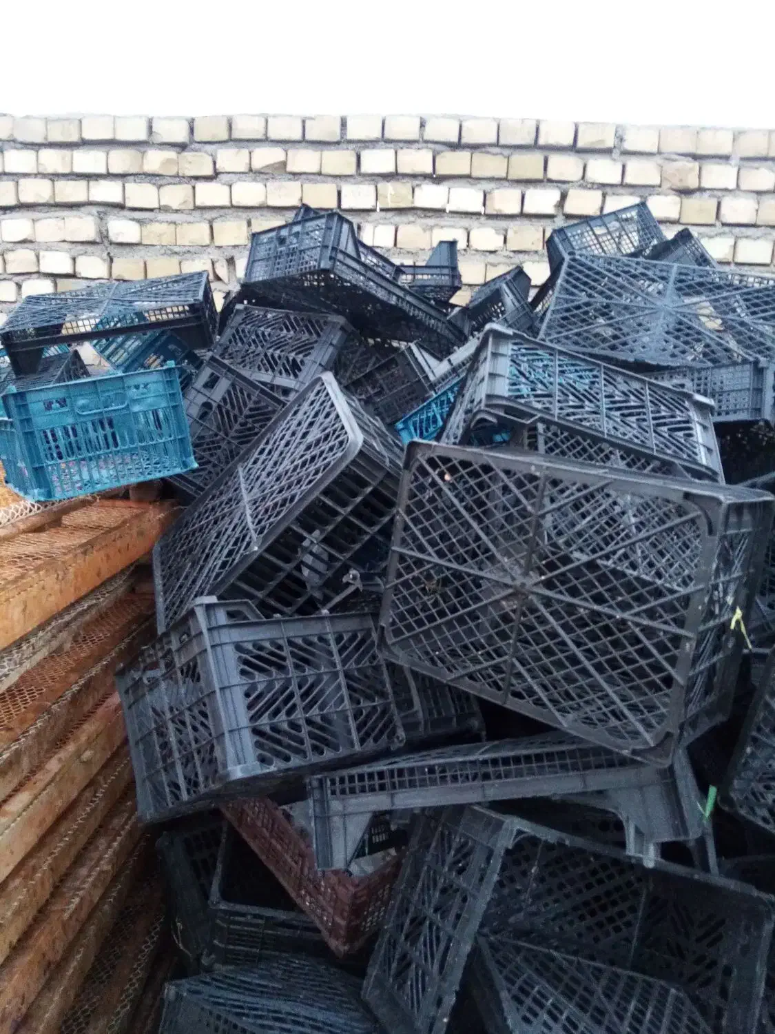 سبد|ظروف نگهدارنده، پلاستیکی، یک‌بارمصرف|زبرخان, |دیوار