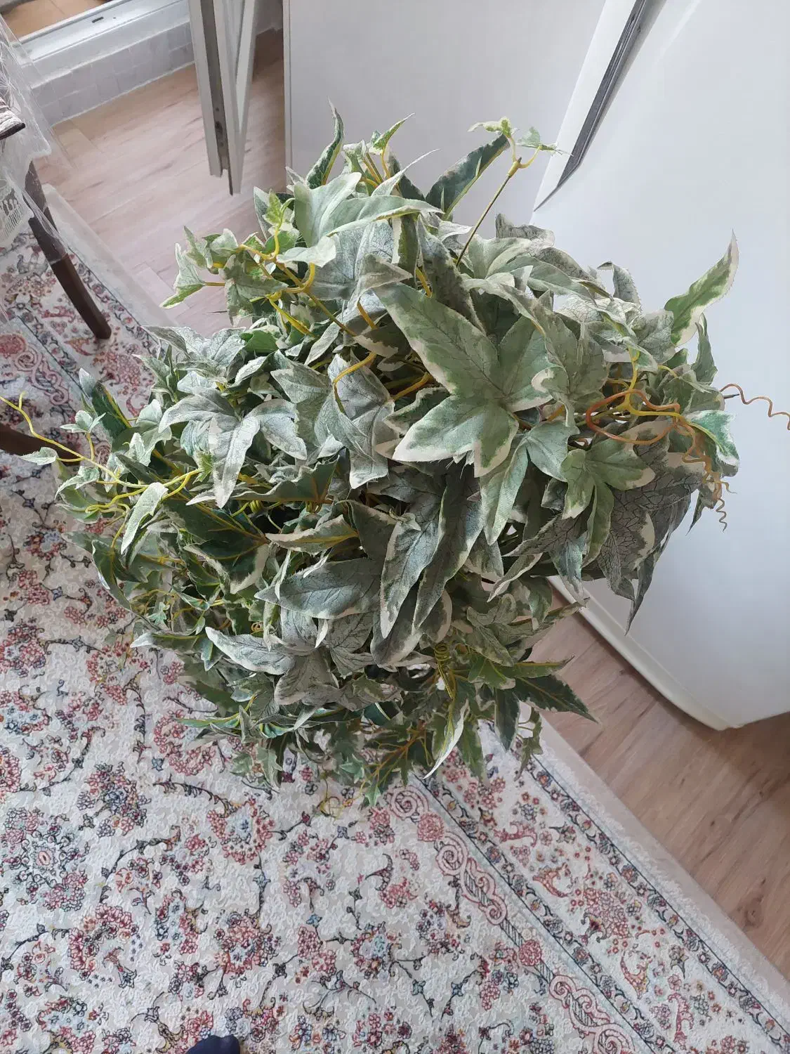 گلدان برگ انجیری|گل مصنوعی|تهران, انبار نفت|دیوار