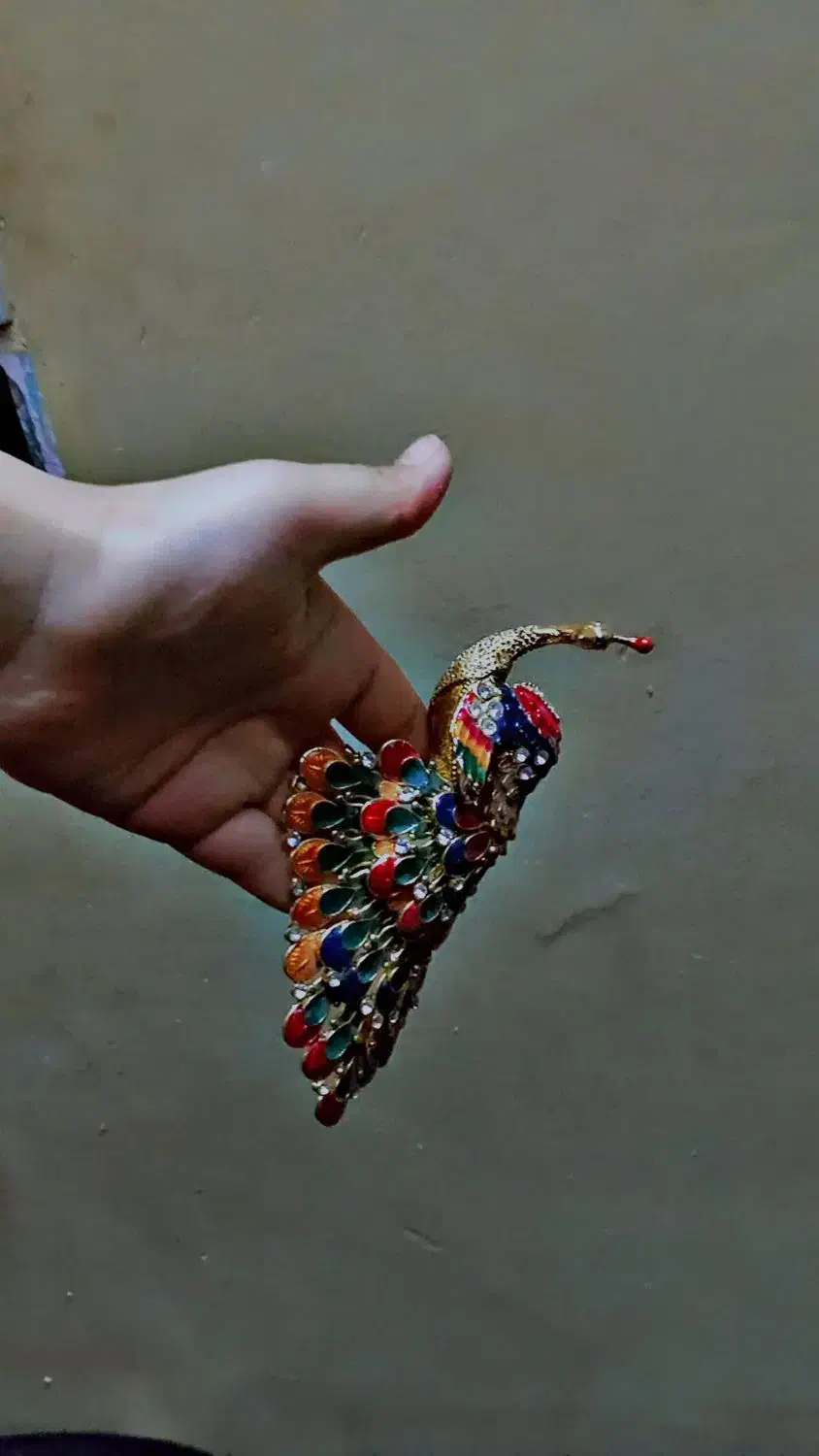 مجسمه طاووس و اسب|مجسمه، تندیس، ماکت|گرگان, |دیوار