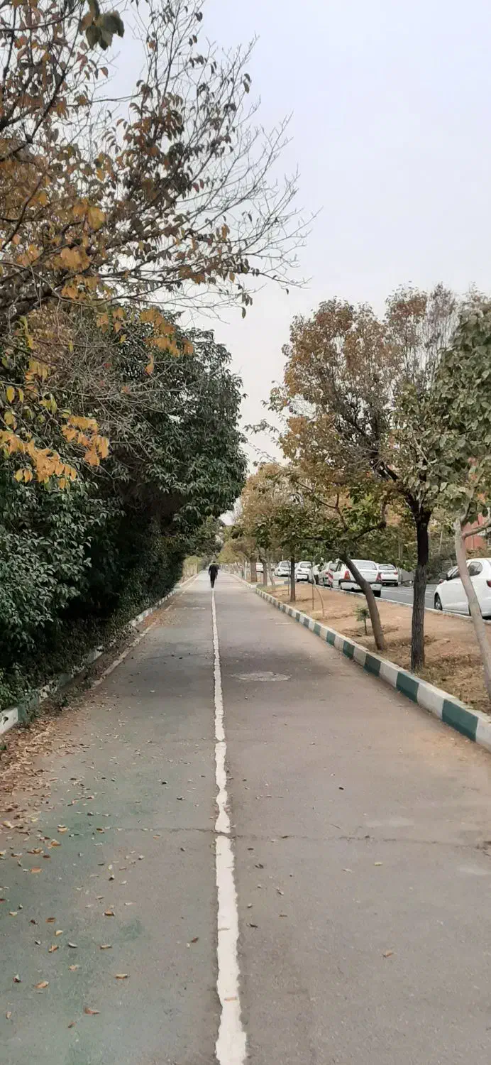 آگهی  رهن و اجاره بلوار فرساد شرقی نیلوفر|اجارهٔ آپارتمان|تهران, سازمان آب|دیوار