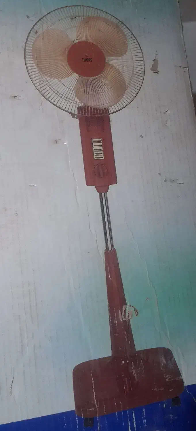 پنکه ایستاده تولیپس|پنکه و تصفیهکنندهٔ هوا|سوسنگرد, |دیوار