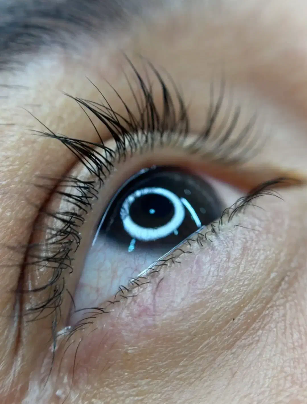 آرایش دائم ،ابرو،چشم ولب تخفیف ۵۰۰ هزار تومانی|خدمات آرایشگری و زیبایی|کرمانشاه, |دیوار