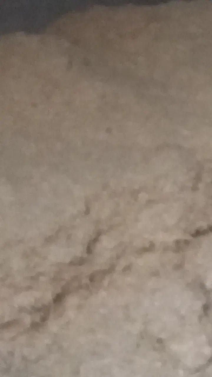 کاه گندم امسالی|عمده‌فروشی|بهار, |دیوار