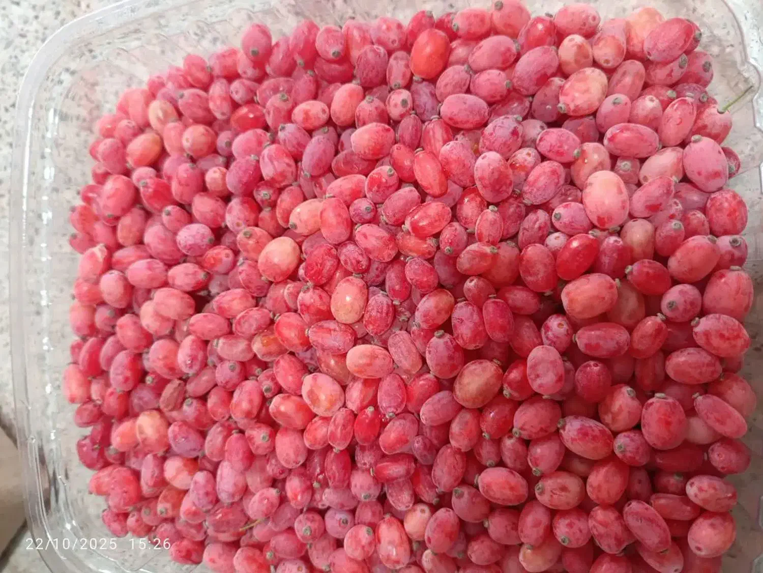 زرشک خیس پنج شنبه در قم|خوردنی و آشامیدنی|قم, باغ شریفی|دیوار