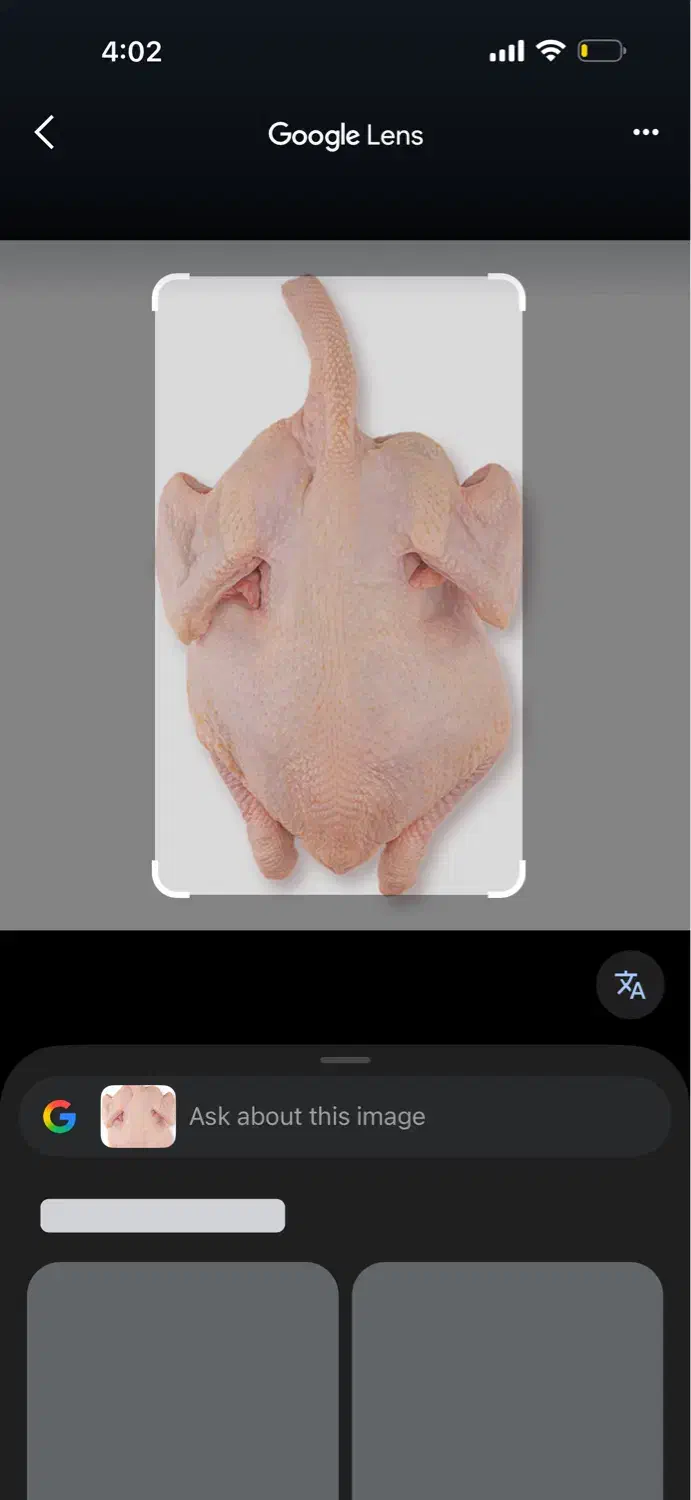 نیروی کار فست فود|استخدام خدمات فروشگاه و رستوران|قزوین, |دیوار