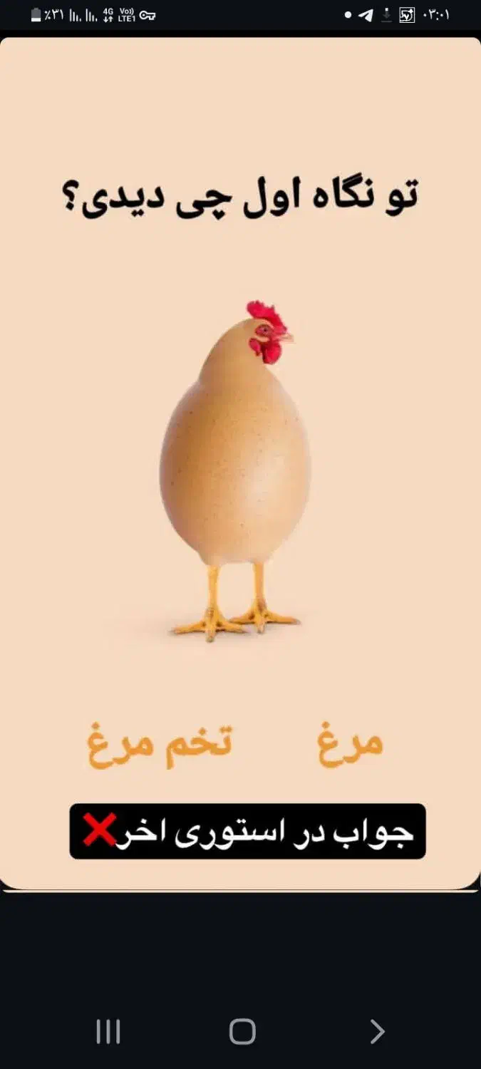 خروس|حیوانات مزرعه|رشت, شهرک شهید رجایی|دیوار