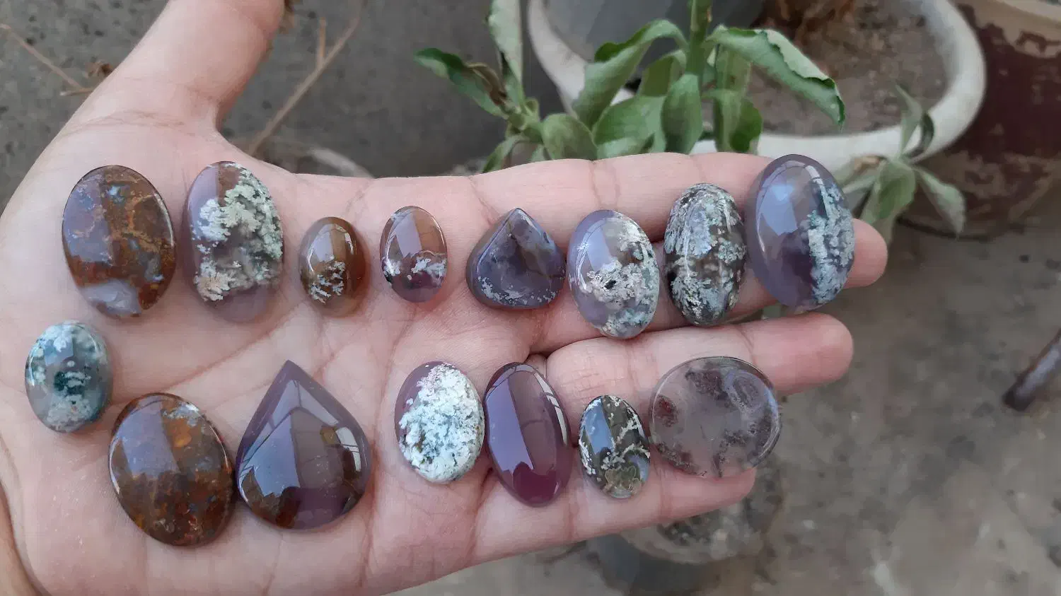 نگین شجر|جواهرات|قم, باجک دو|دیوار