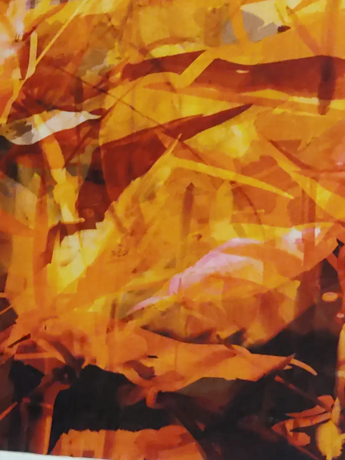 گوشواره گم شده،( مژدگانی)|جواهرات|سنندج, |دیوار