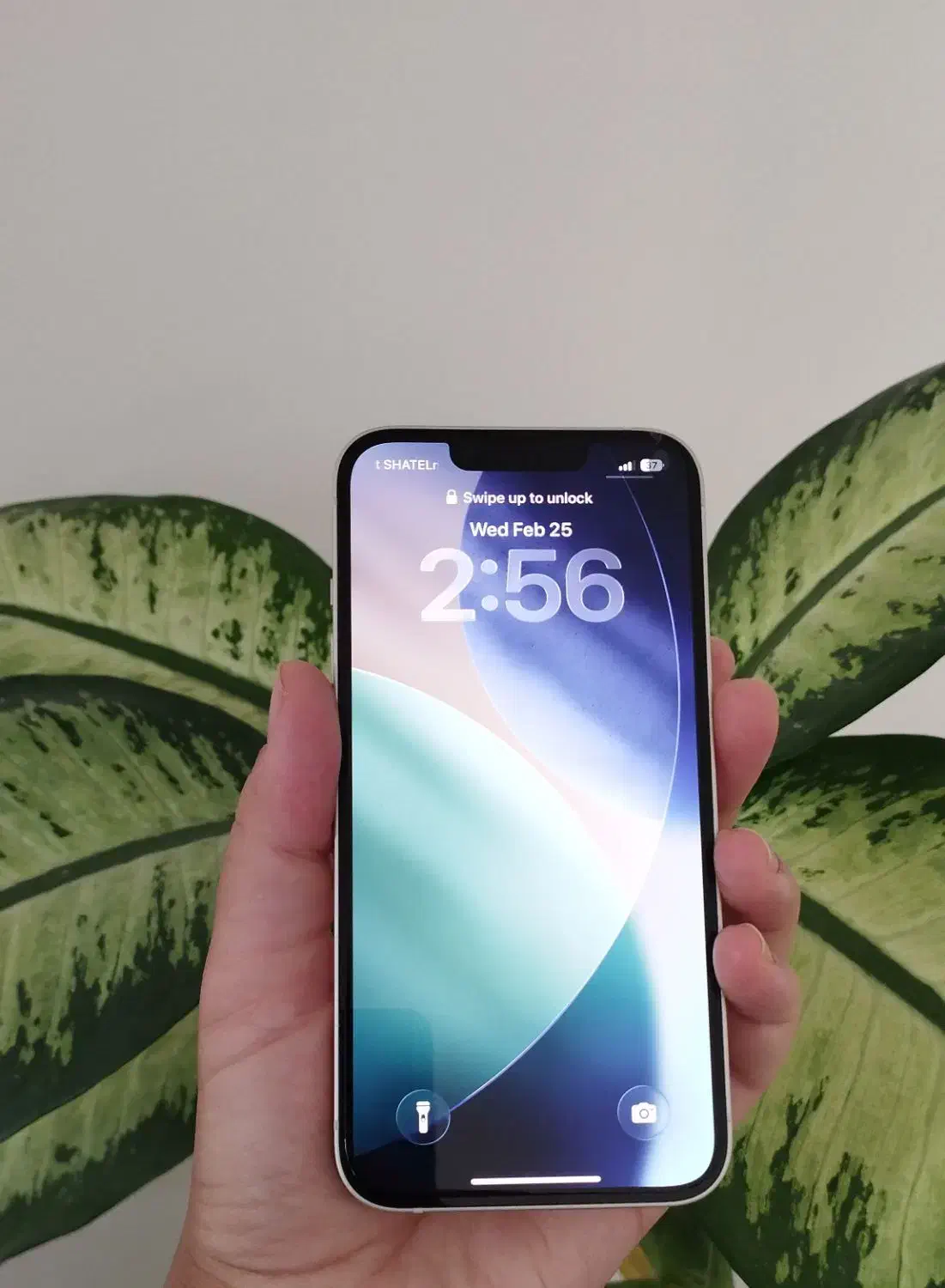 آیفون ۱۳|موبایل|ایلام, |دیوار