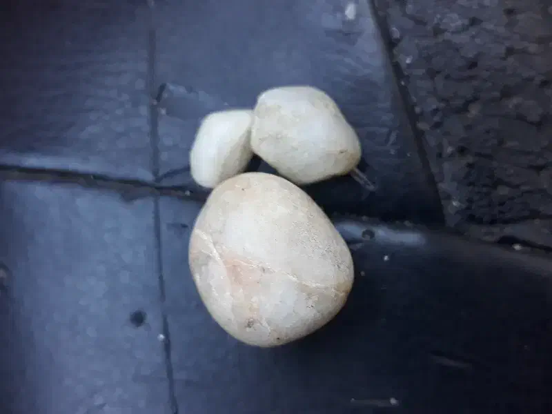 سنگ قدمتی و با ارزش  فروش فقط فقط ب دلیل نیاز مالی|جواهرات|مشهد, ابوذر|دیوار