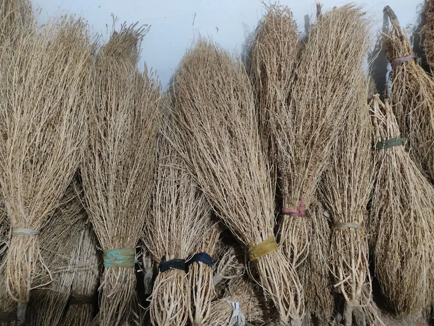 جارو قیمت مناسب و امسالی|لوازم نظافت|نیشابور, بنیاد شهید|دیوار