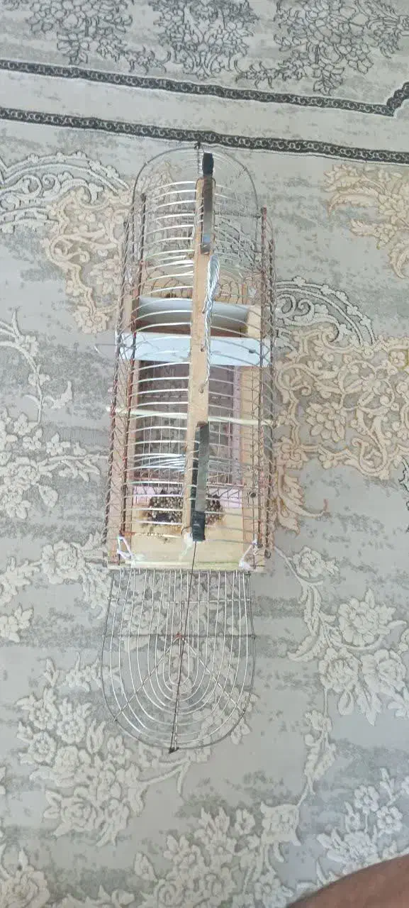 قفس پرنده|لوازم جانبی حیوانات|ایلام, |دیوار