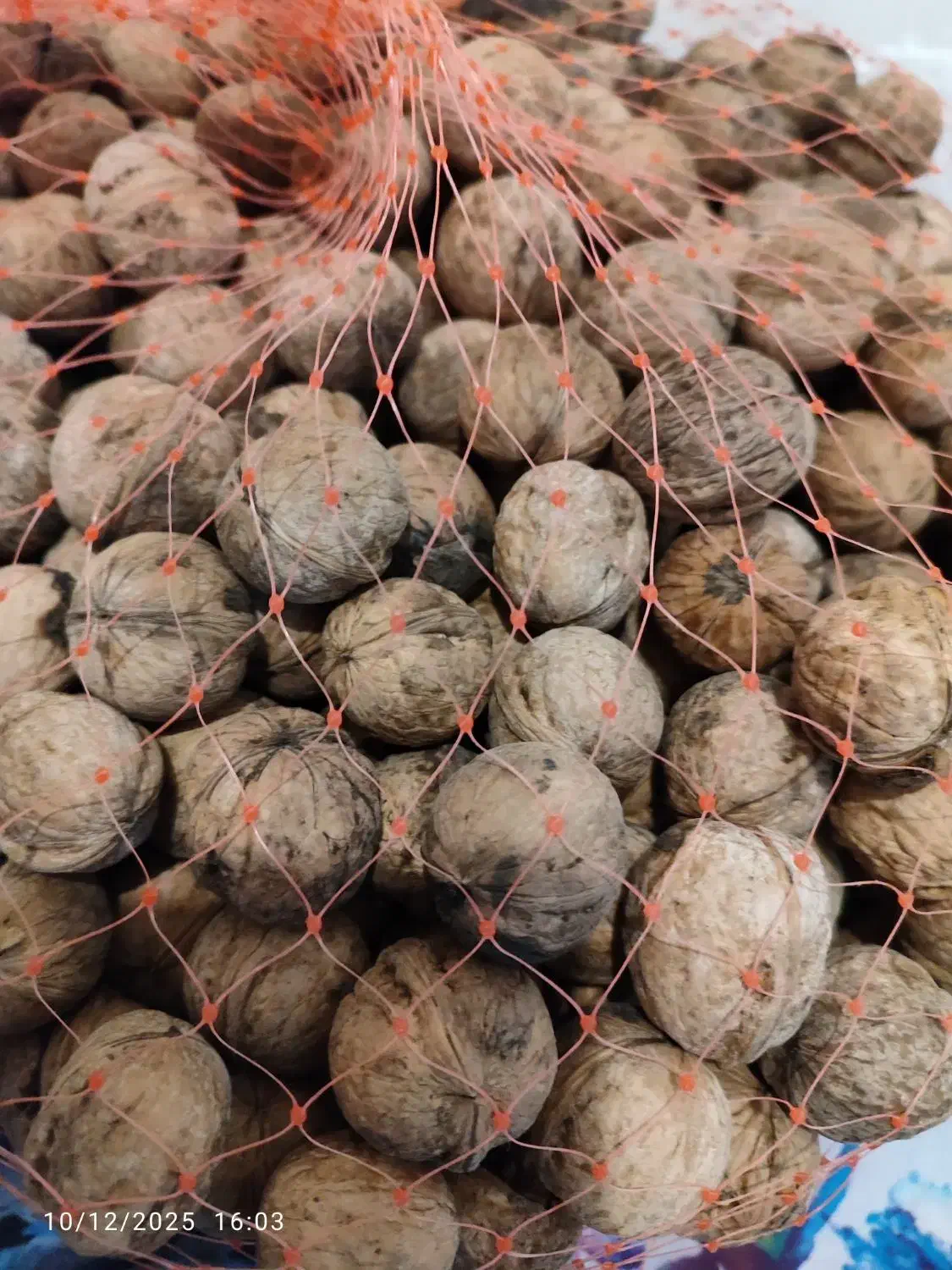 گردو|خوردنی و آشامیدنی|پاکدشت, پاکدشت (مامازند)|دیوار