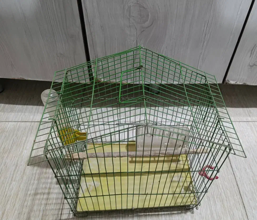 فروش قفس|لوازم جانبی حیوانات|فردیس, شهرک شهید حسینی|دیوار