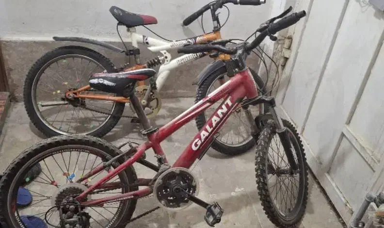 دوچرخه دنده ای و ساده|دوچرخه، اسکیت، اسکوتر|بوشهر, |دیوار