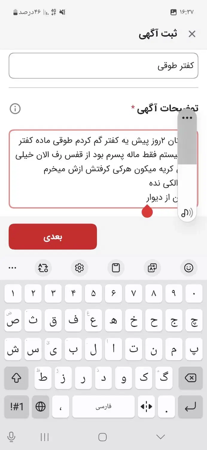 کفتر طوقی|حیوانات|خرم‌آباد, |دیوار