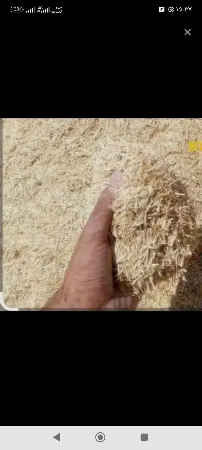 کاه گندم|لوازم جانبی حیوانات|ارومیه, |دیوار