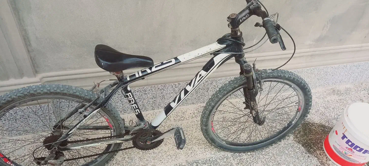 دوچرخه|دوچرخه، اسکیت، اسکوتر|عسلویه, |دیوار