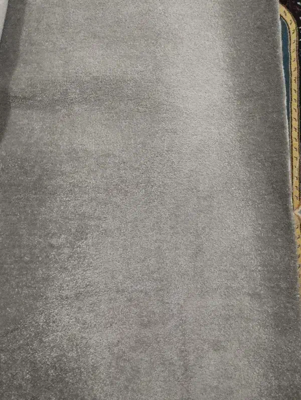 پالاز موکت نو|موکت|دوگنبدان, |دیوار