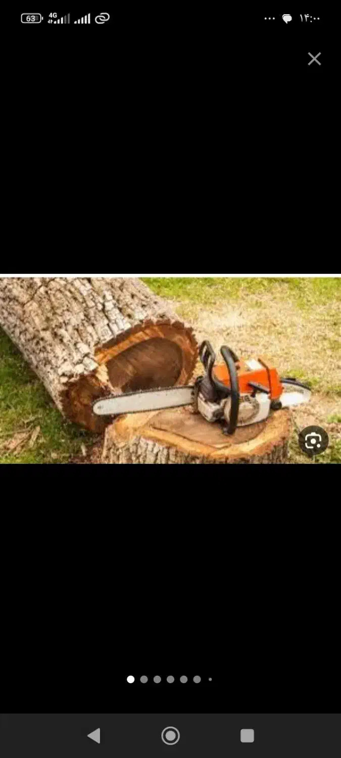 خرید چوب و برش انواع درختان با نازلترین قیمت|خدمات باغبانی و درختکاری|شیراز, دارالرحمه|دیوار