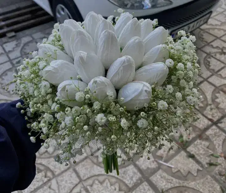 انواع مختلف|گل مصنوعی|زنجان, |دیوار