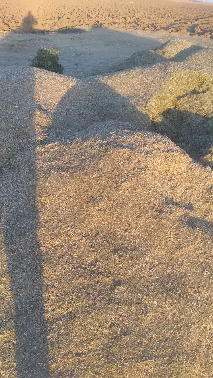 یونجه|لوازم جانبی حیوانات|فامنین, |دیوار