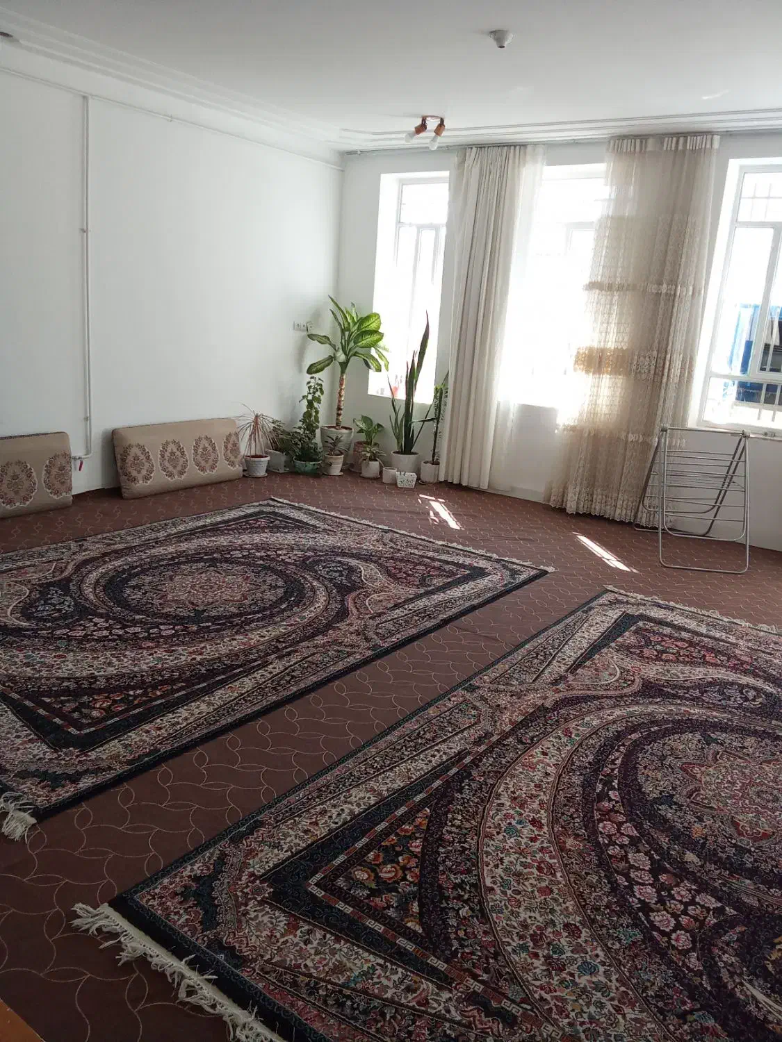 چهل متر موکت درحد نو|موکت|ایلام, |دیوار