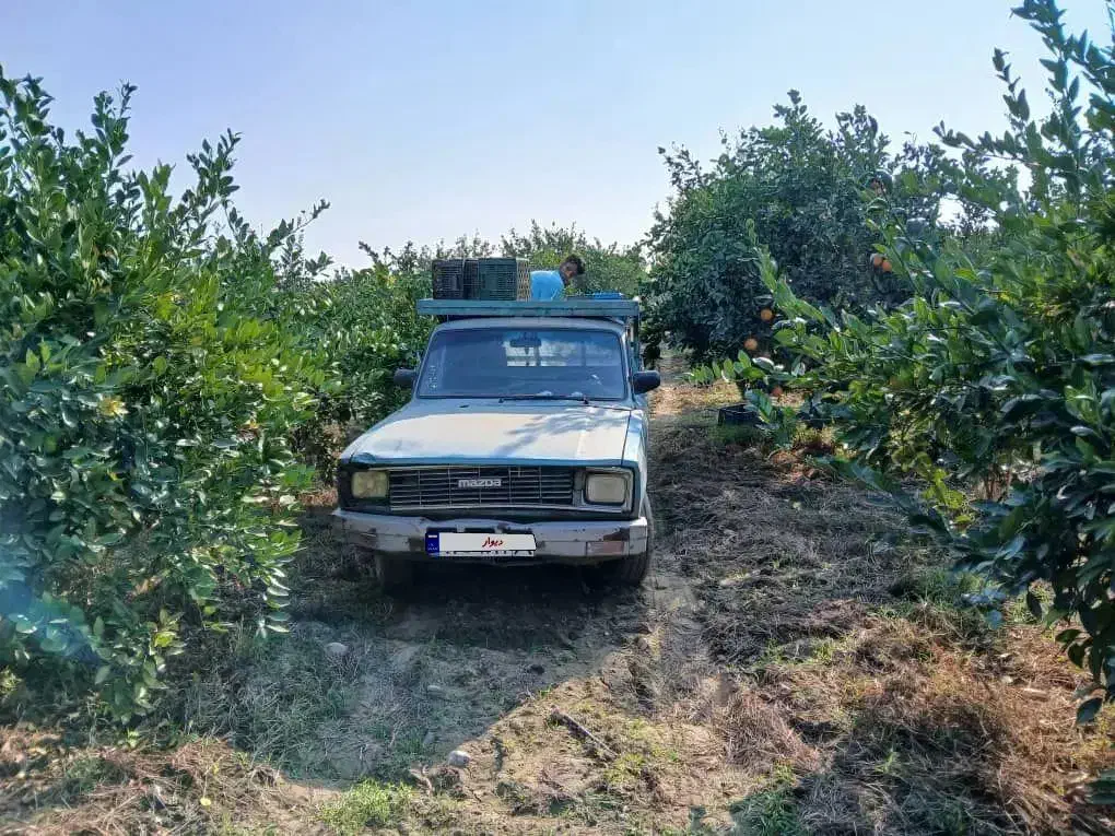 فروش وانت مزدا|خودرو سواری و وانت|فاضل آباد, |دیوار