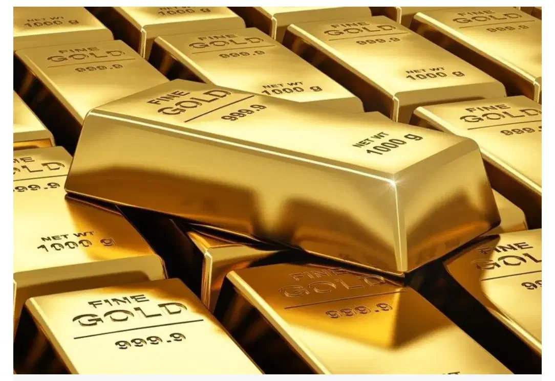 بازار های مالی|فعالیت داوطلبانه|سردشت, |دیوار