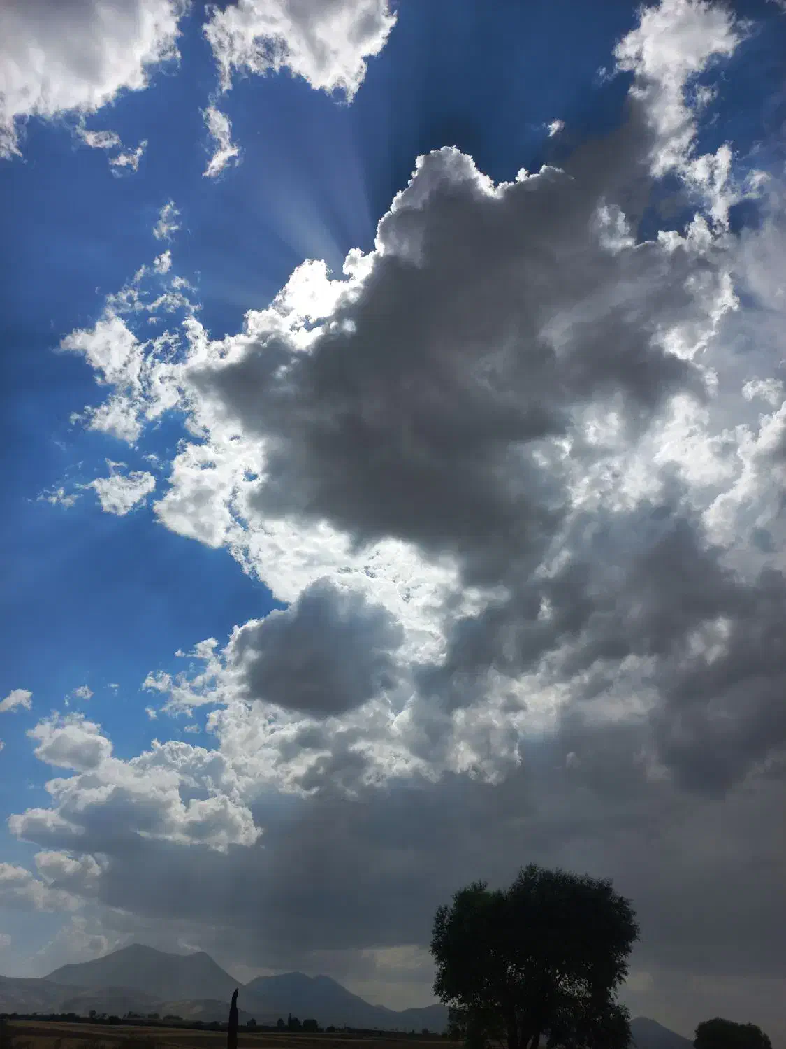 کارت ملی گمشده|اشیا|صفادشت, |دیوار