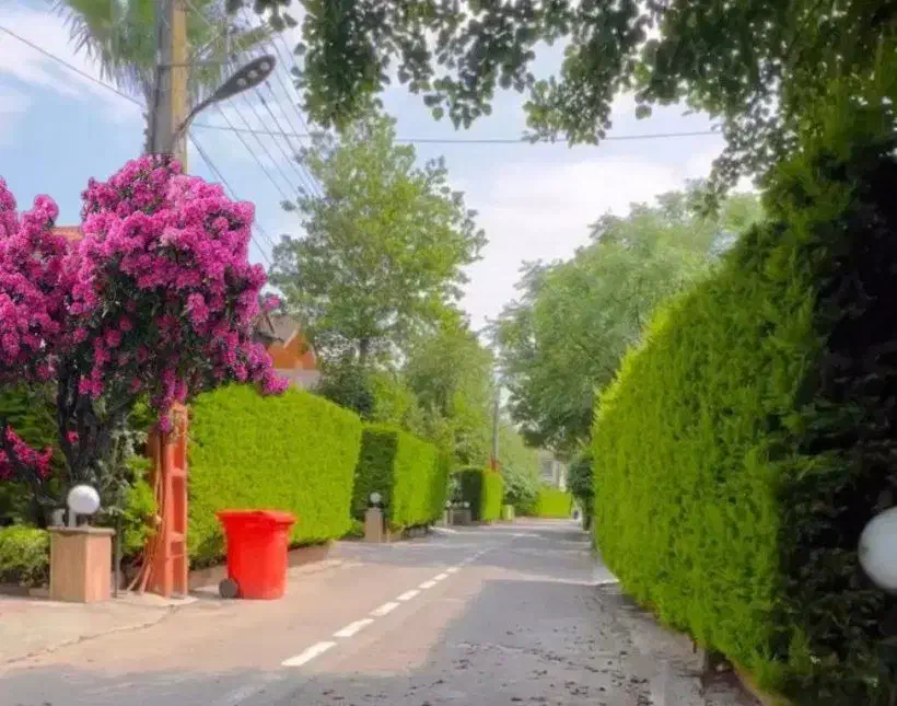 284م. 20دقیقه پیاده تا دریا/بدون مشرف|فروش زمین و ملک کلنگی|نشتارود, |دیوار