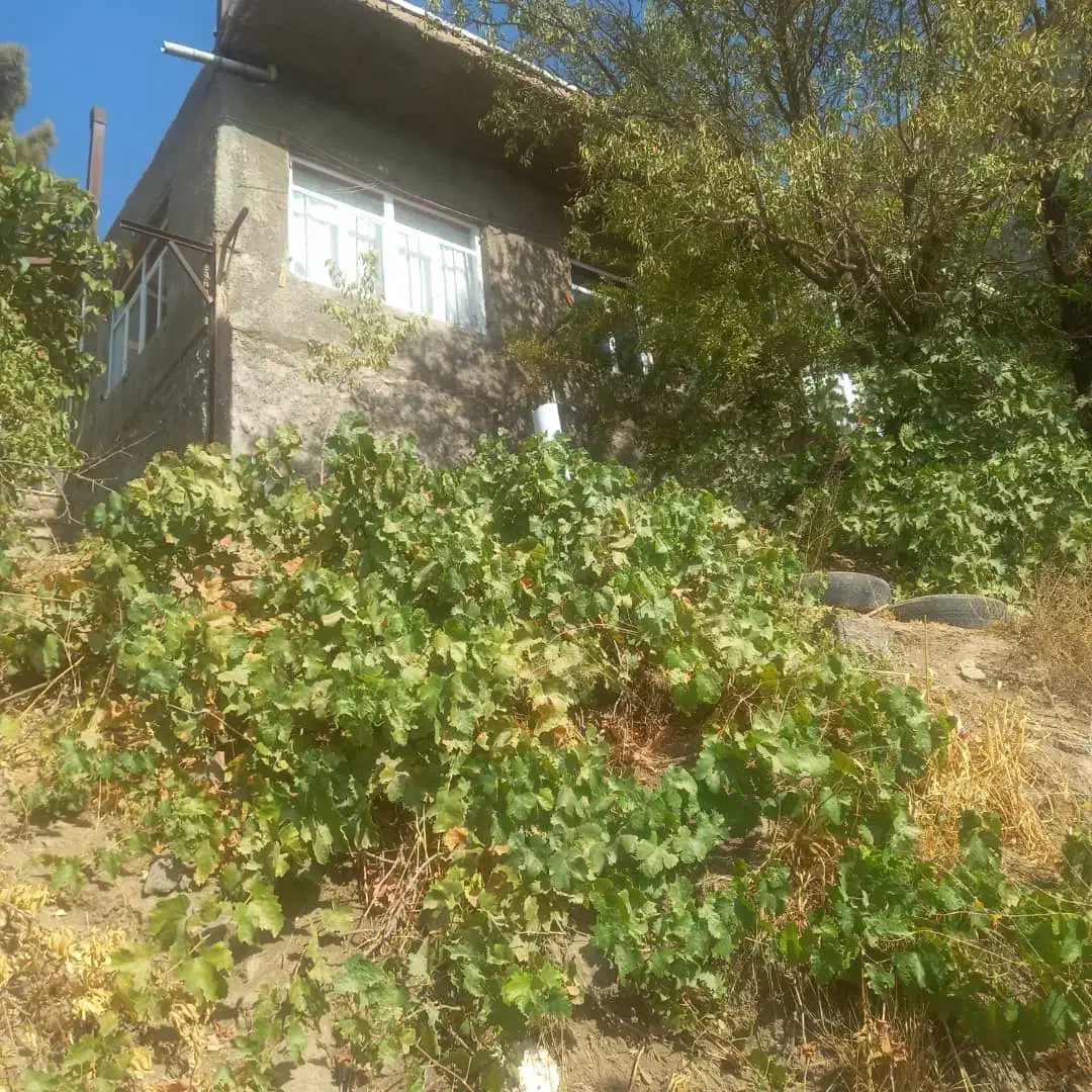 ۶۰۰ویلا|فروش خانه و ویلا|هشتگرد, اردهه|دیوار