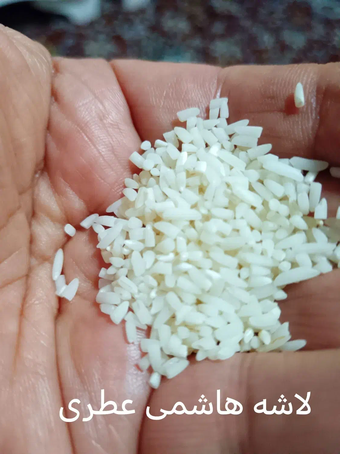 برنج هاشمی آستانه اشرفیه عطری ولاشه|خوردنی و آشامیدنی|قزوین, |دیوار