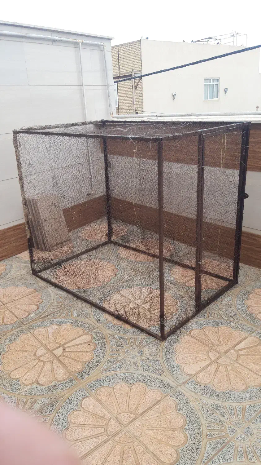 کبوتر تور|لوازم جانبی حیوانات|تاکستان, |دیوار