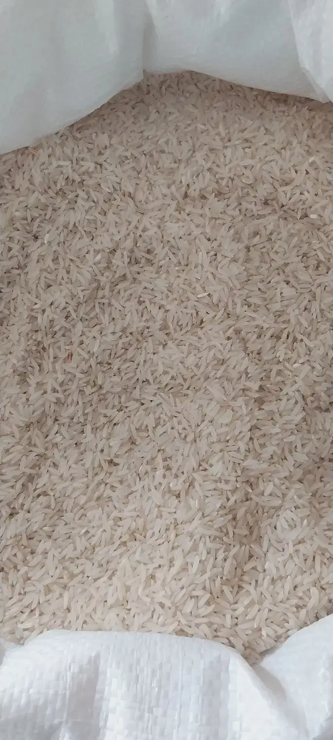 برنج قره قیه|خوردنی و آشامیدنی|پارس‌آباد, |دیوار