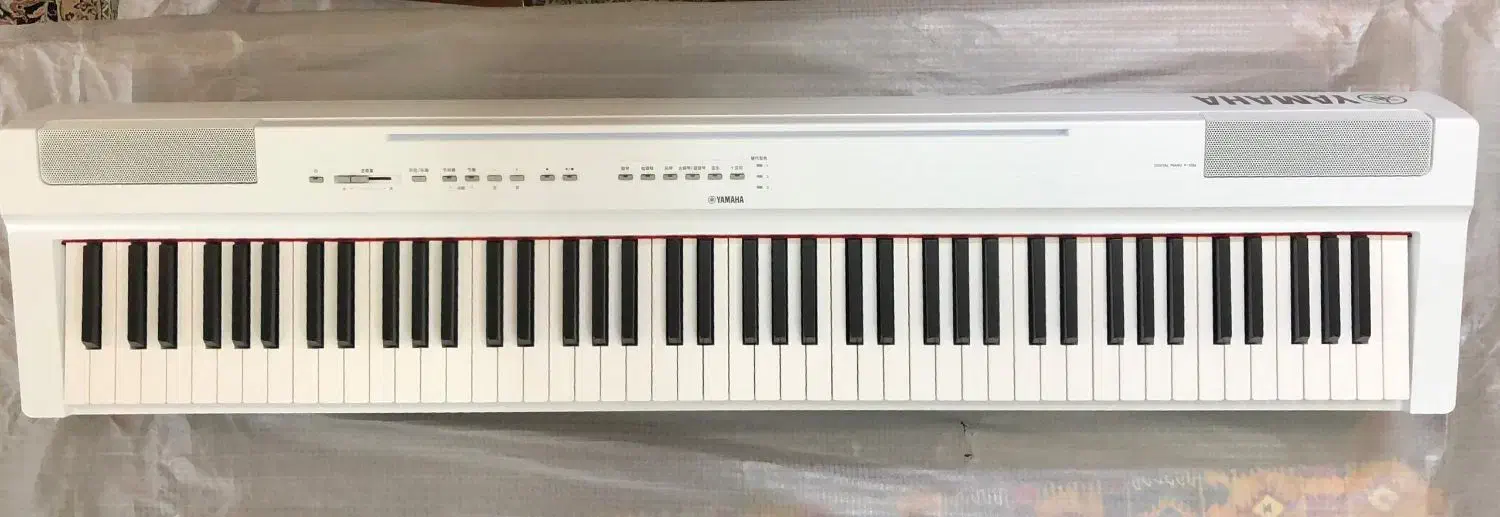 پیانو پرتابل p225 white|پیانو، کیبورد، آکاردئون|کرج, عظیمیه|دیوار