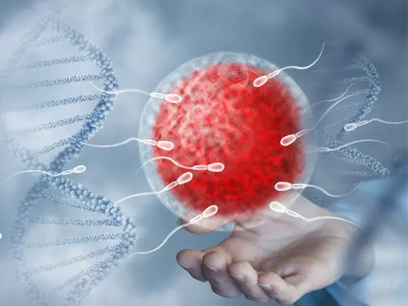 نیازمند اهدا تخمک|فعالیت داوطلبانه|تبریز, |دیوار