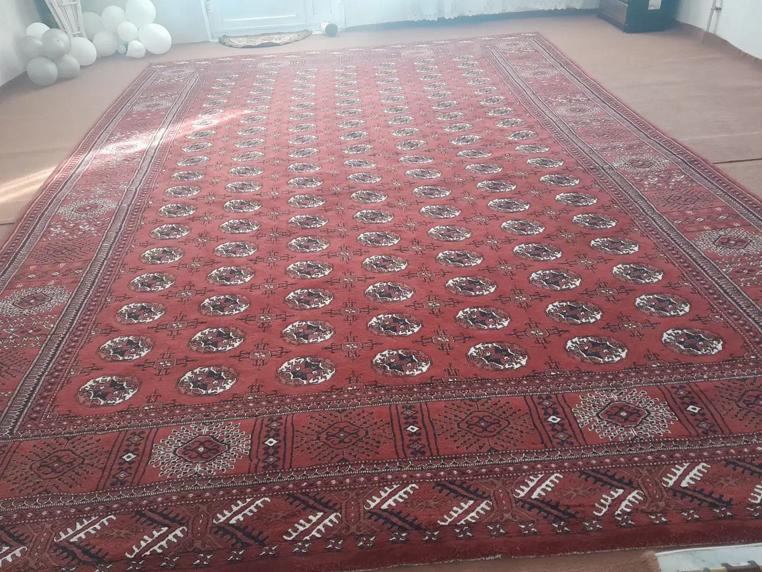 فرش تمیز بزرگ|فرش|بندر ترکمن, |دیوار