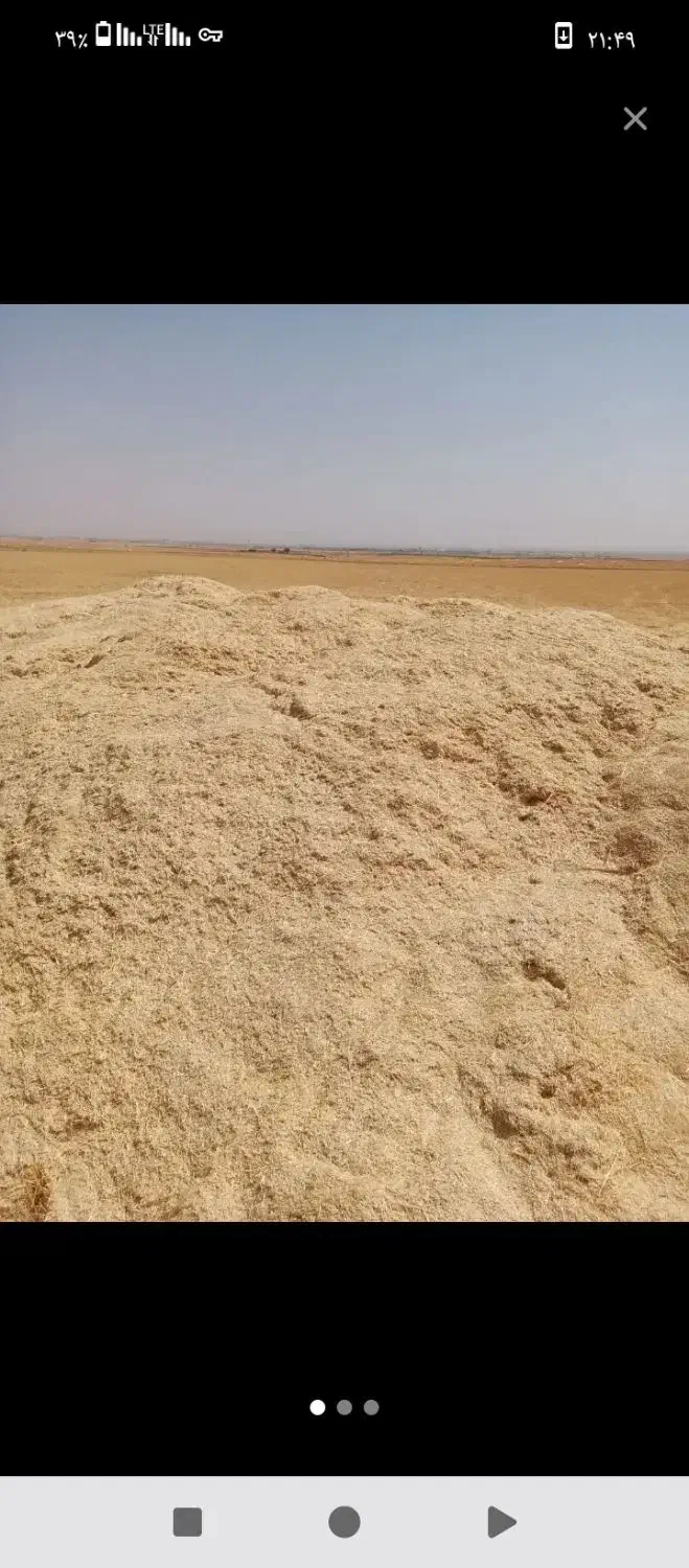 کاه گندم|عمدهفروشی|دهگلان, |دیوار