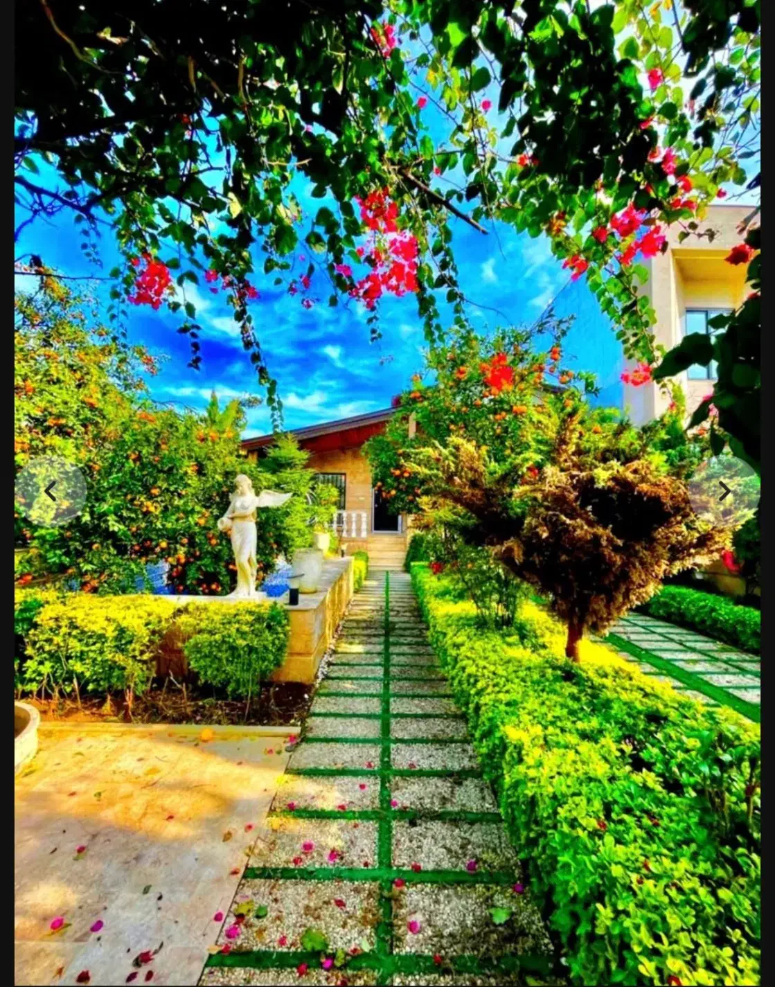 *700میلیون زیرقیمت*باغ جنگلی کوهستانی/پردرخت میوه|فروش خانه و ویلا|امامزاده عبدالله, |دیوار