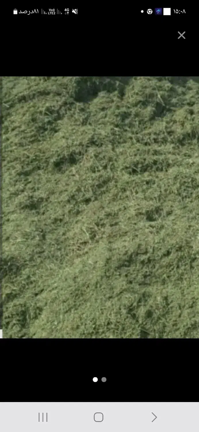 یونجه|حیوانات مزرعه|سنندج, |دیوار