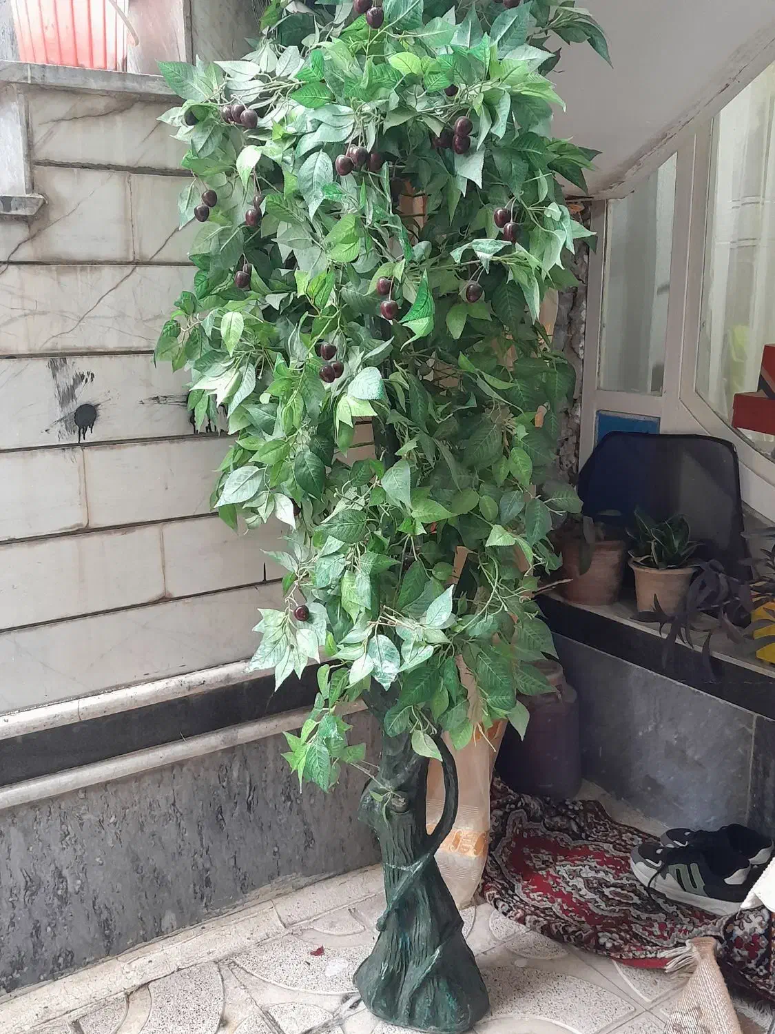 گل جارو برقی کاست|گل مصنوعی|خوی, |دیوار
