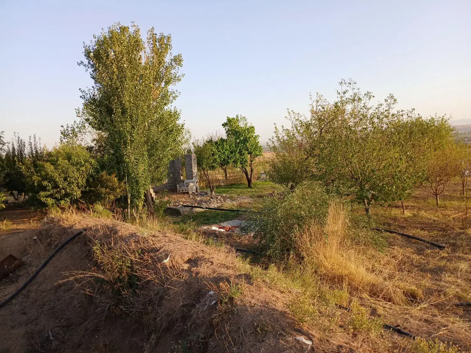 فروش باغ ۱۵۰۰ متری و ۱۰۰۰۰متری|فروش دفتر صنعتی، کشاورزی، تجاری|زنجان, |دیوار