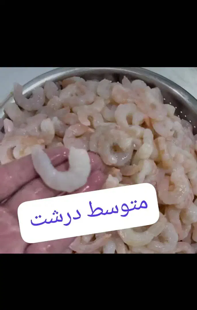 میگو تازه تازه صید روز پاک شده آماده|خوردنی و آشامیدنی|شیراز, طلاب|دیوار