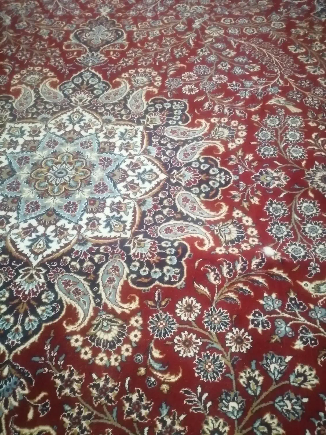 جارو برقی مبل و قالی|جاروبرقی، جارو شارژی، بخارشو|شیراز, شهرک امیر کبیر|دیوار