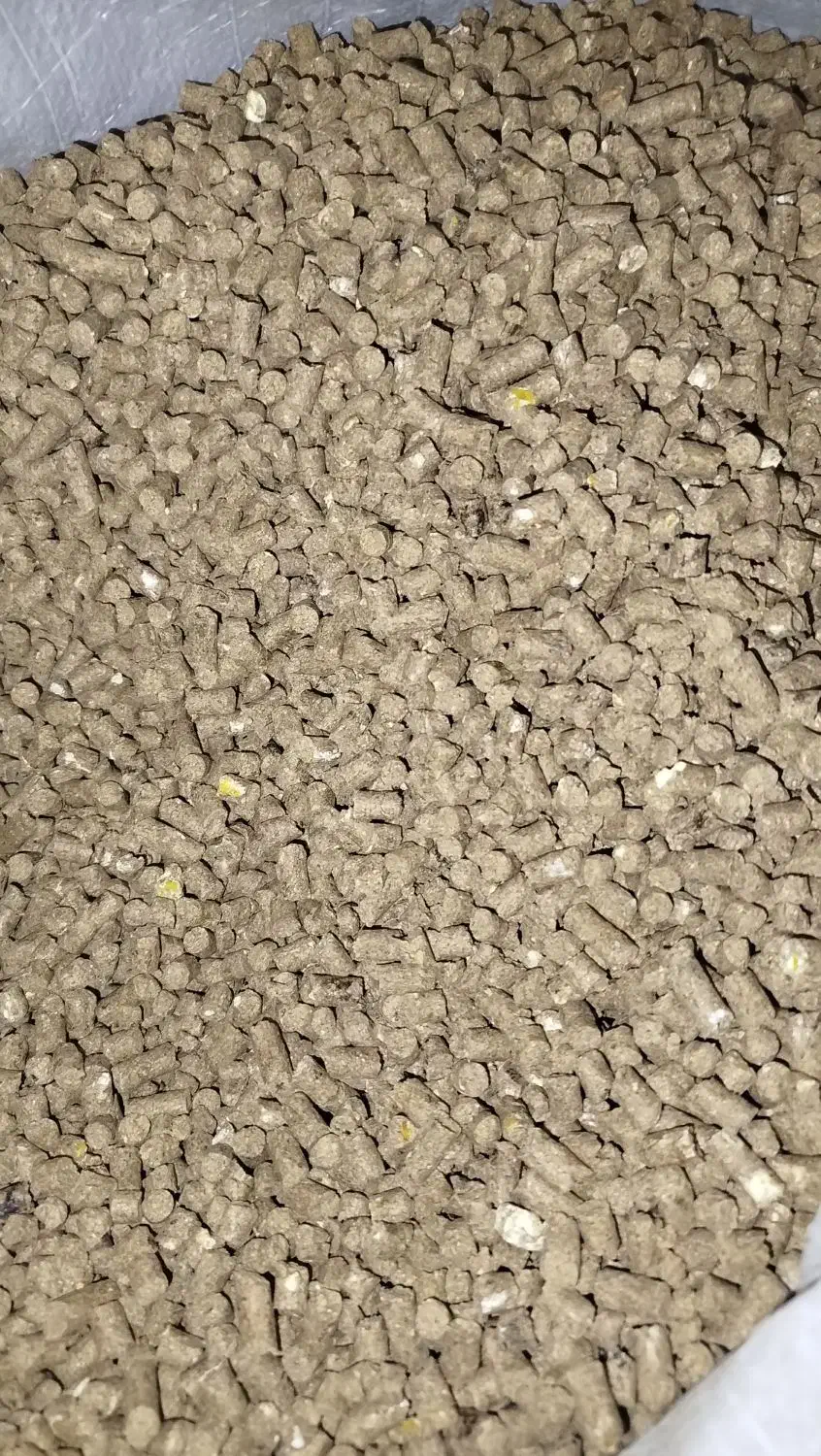 خوراک دام|لوازم جانبی حیوانات|مشگین شهر, |دیوار