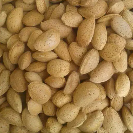 برگه زردآلو .بادام و لواشک|خوردنی و آشامیدنی|تهران, امیر بهادر|دیوار