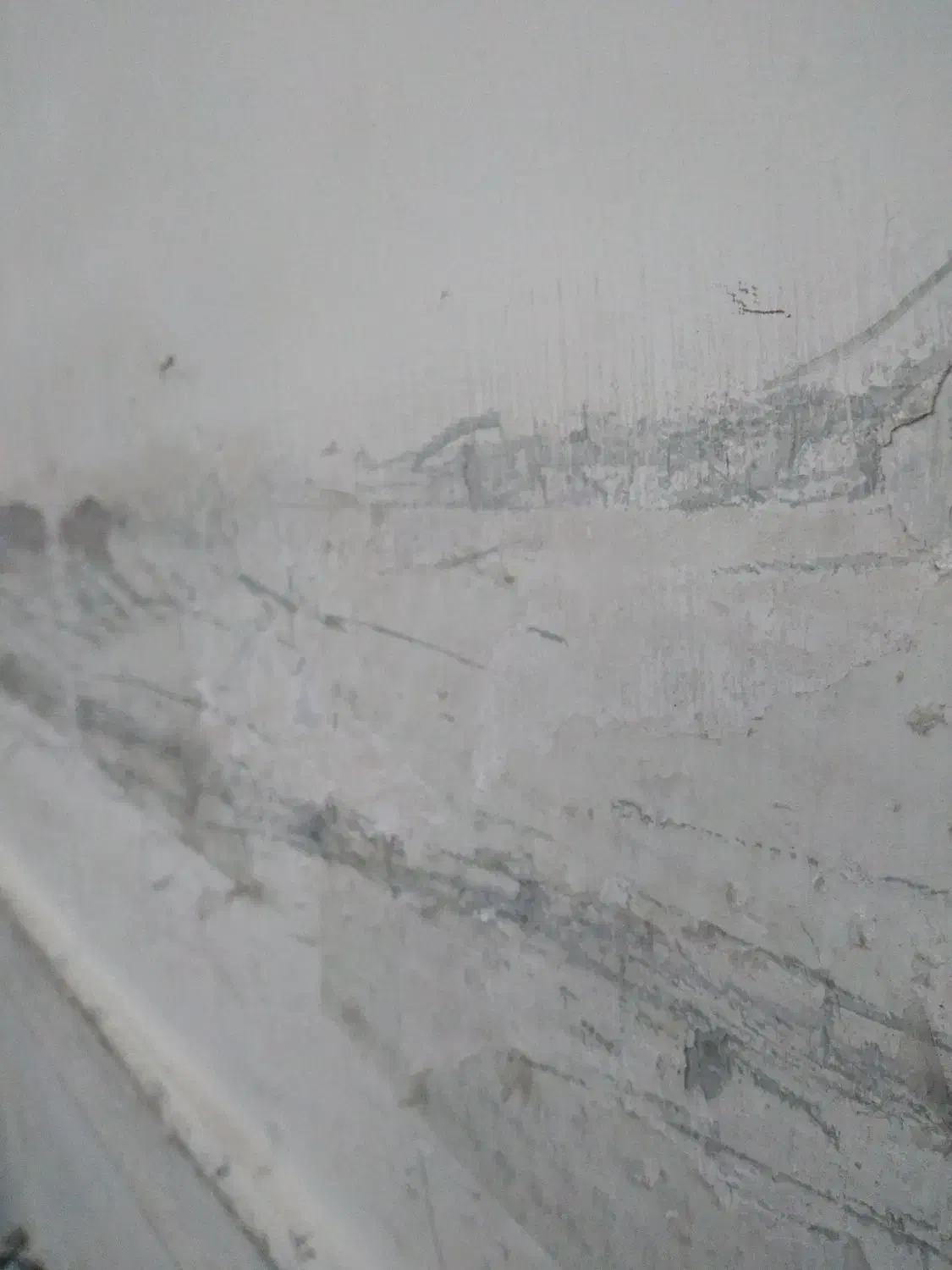 تمیز و مسئولیت پذیری|خدمات نظافت|رشت, بیجارپس|دیوار